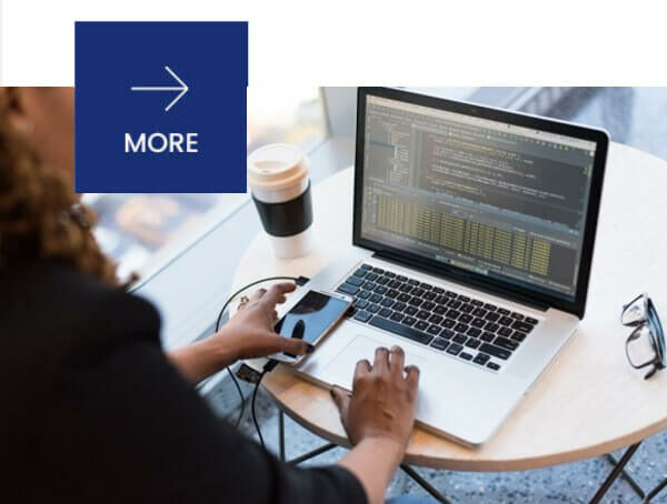 layanan Perdagangan Besar Piranti Lunak